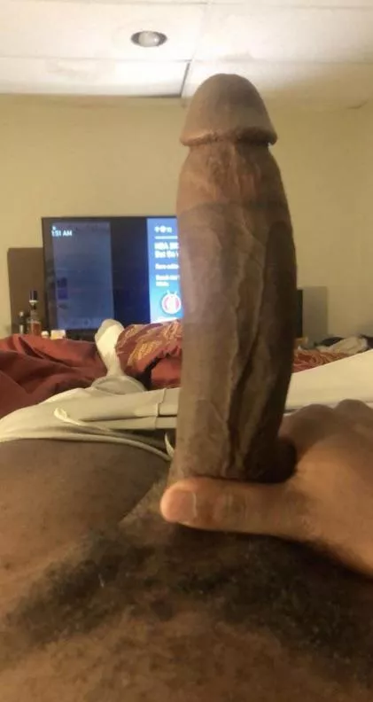 2024 breeder bbc