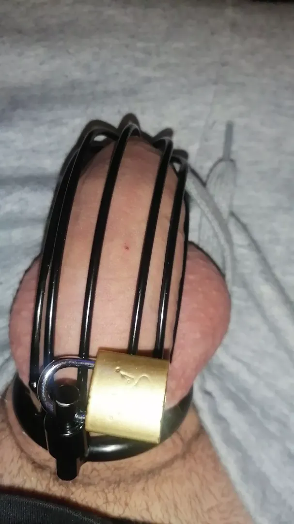 20yo Virgin Boy needs Advice