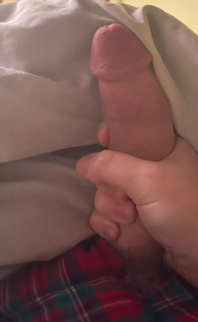 22 Craving cock