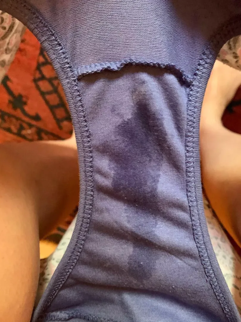 22 Florida slut