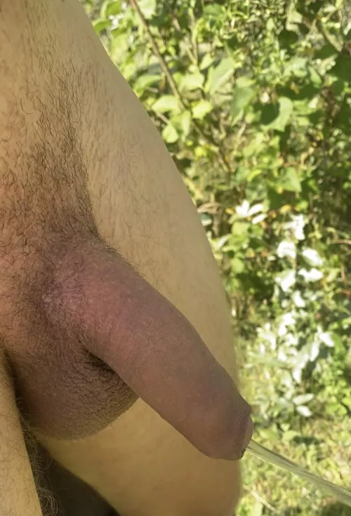 [22] looking for trades. Hmu