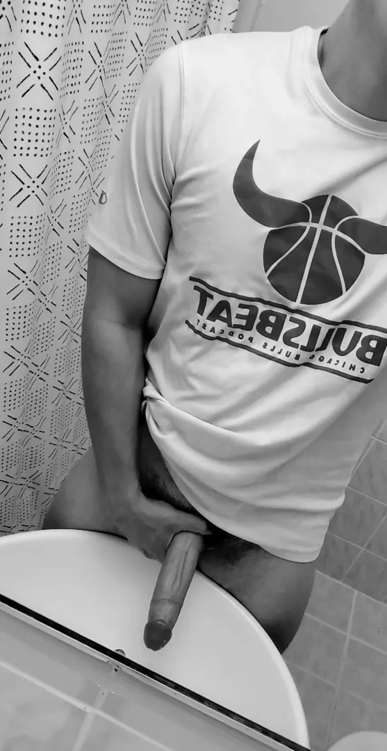 [23] Bull Cock
