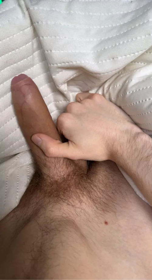 23 gay UK, Guys that are hairy, have foreskin & precum hmu - theproud.llama