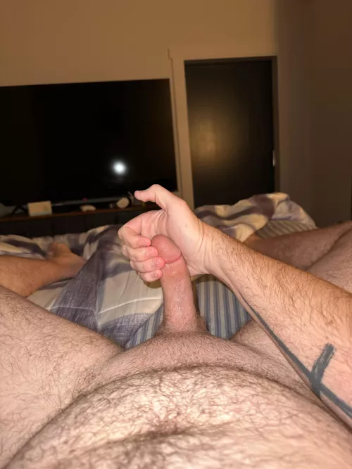 23 hairy dad bod looking for a twink to show off. Boogy38546