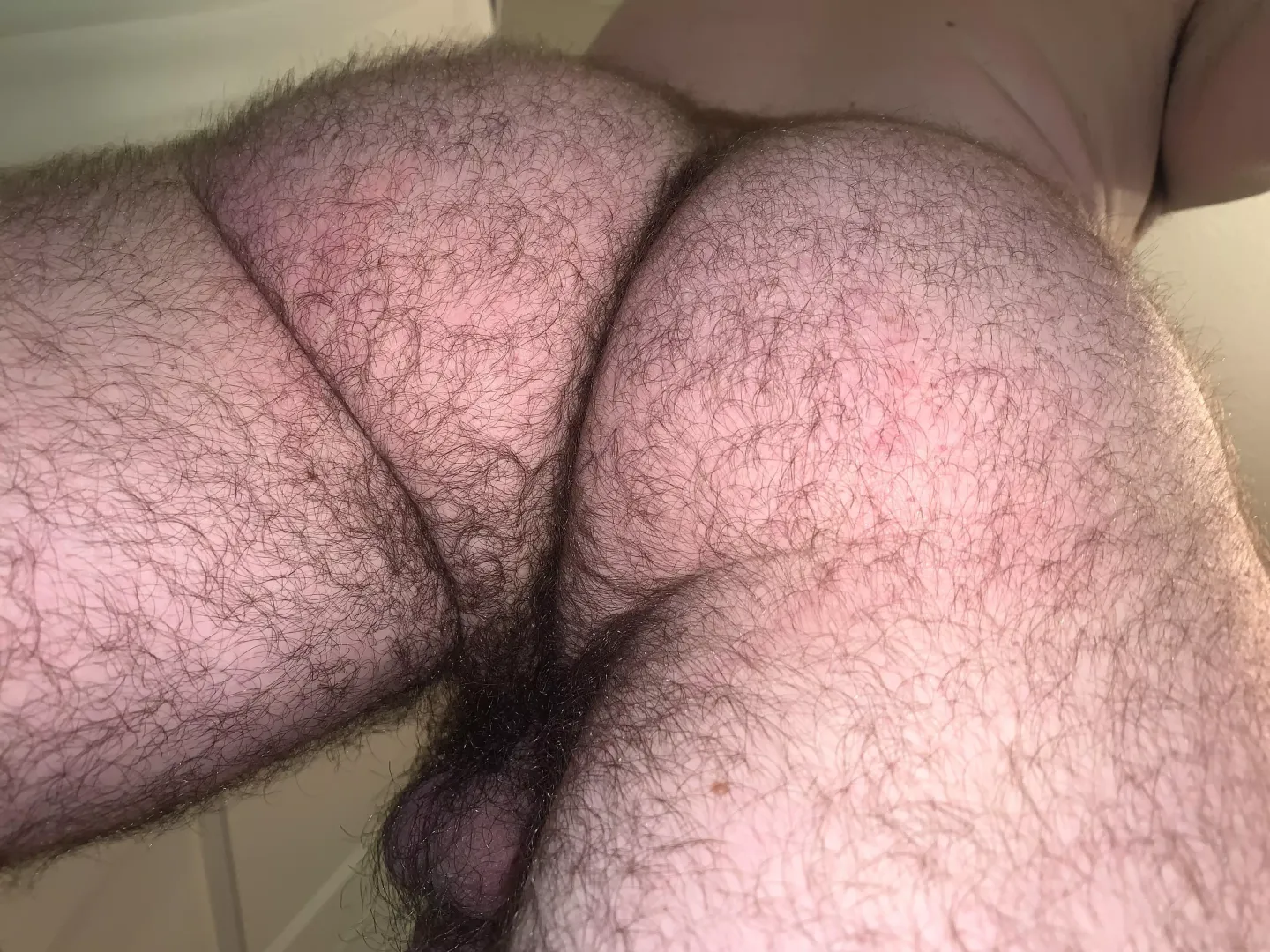 24 in shape bottom bro with a big furry bubble butt. 😈I’m horny, DM me or add my snap: FurryBub2