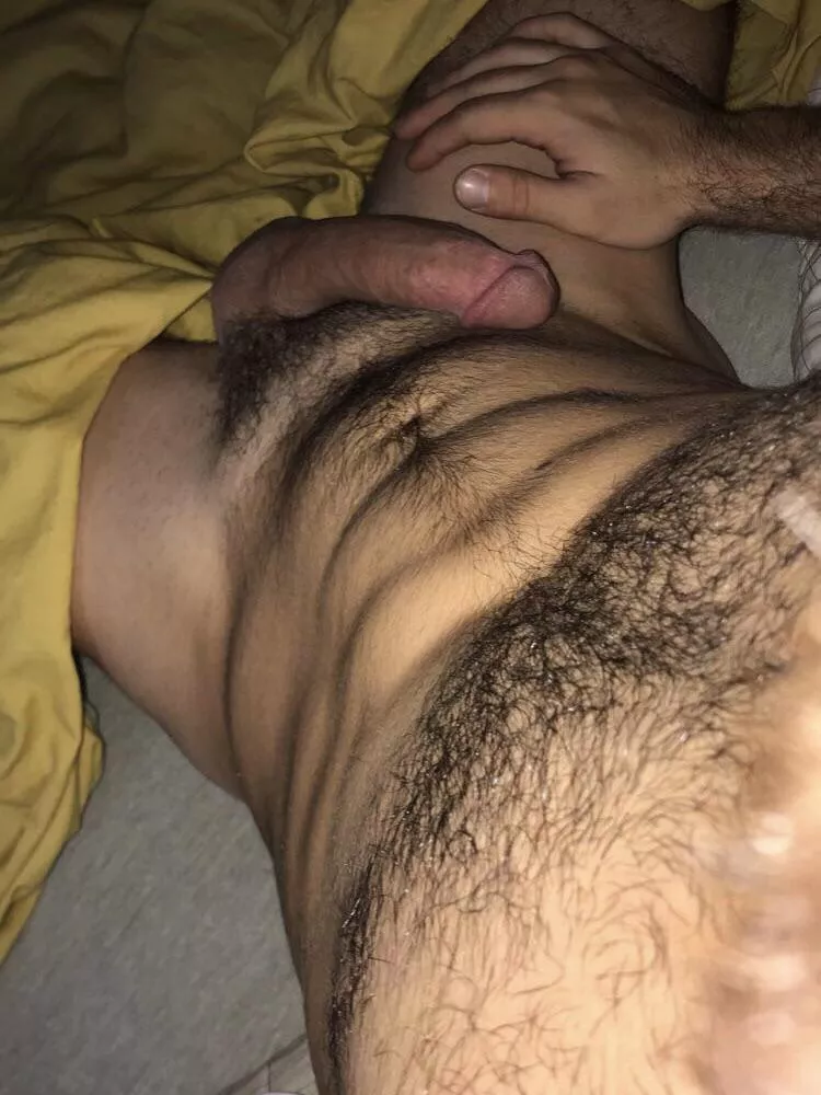 (24)cut, fit, hairy and curious. I’ve been pretty horny the last few days……