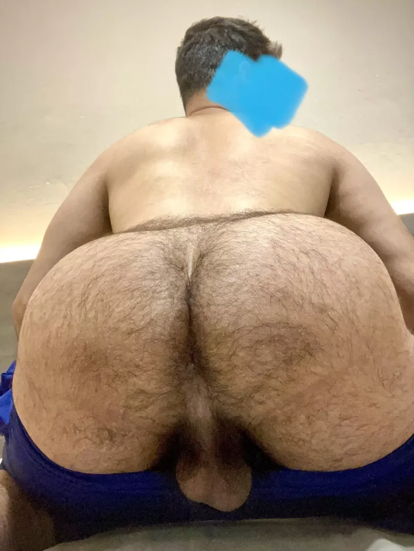 25 in shape DL Arab with a thick furry ass. Let’s have fun😏 Snapp: HabibiFurr