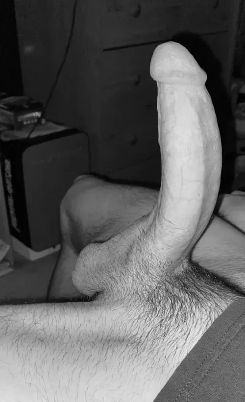 25m Harlem