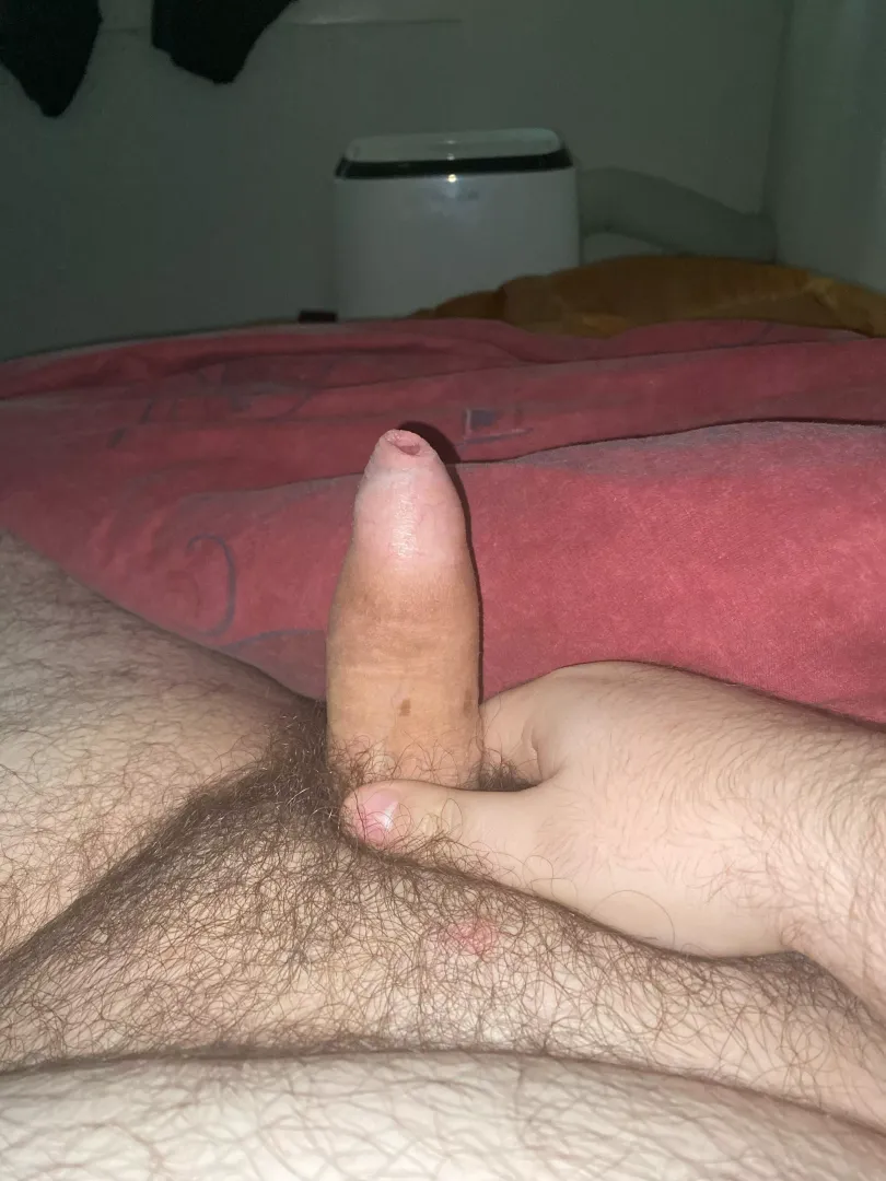 26m anyone else horny?
