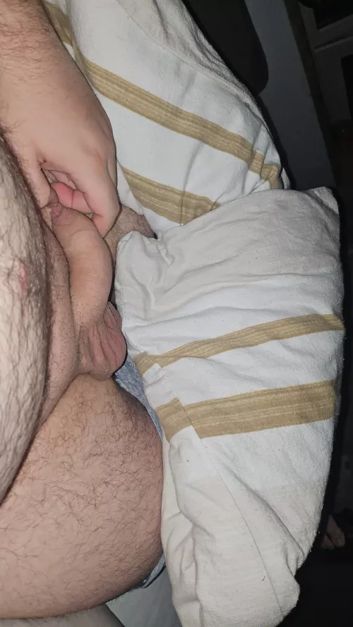 [27] snap ?