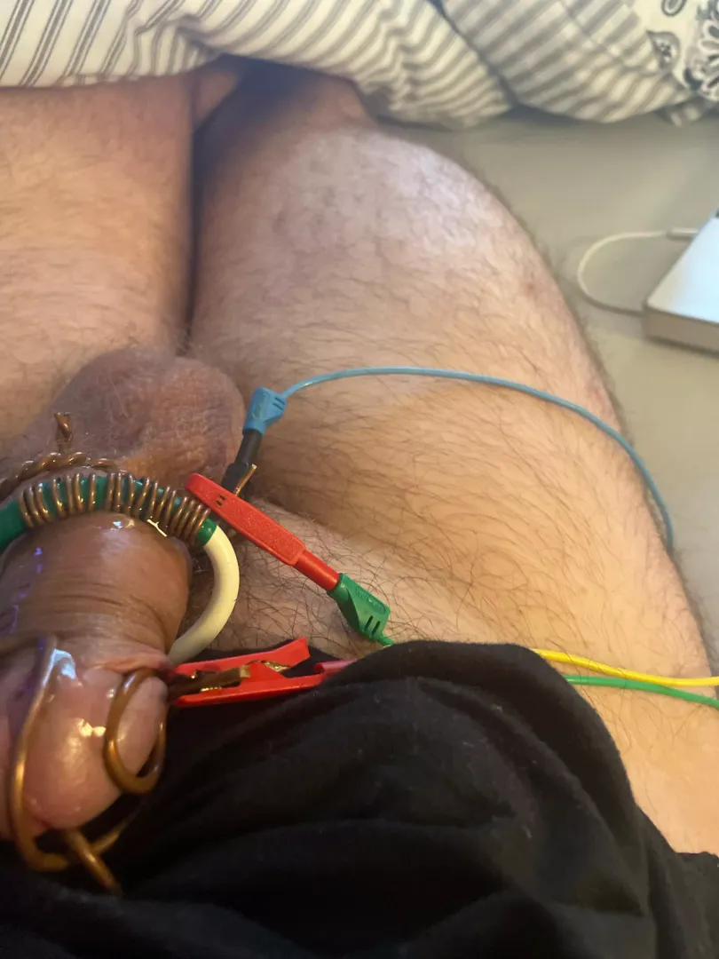 [28] estim