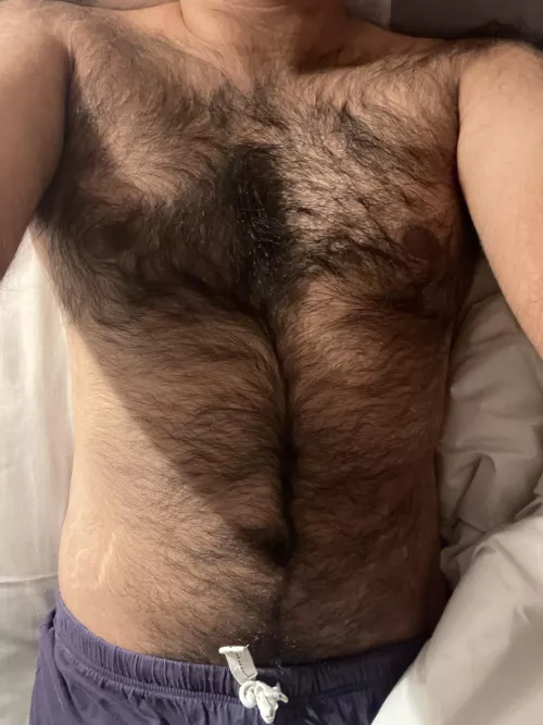 29, 5ft5 hairy brown cub bottom looking for BWC top - sub_b5931