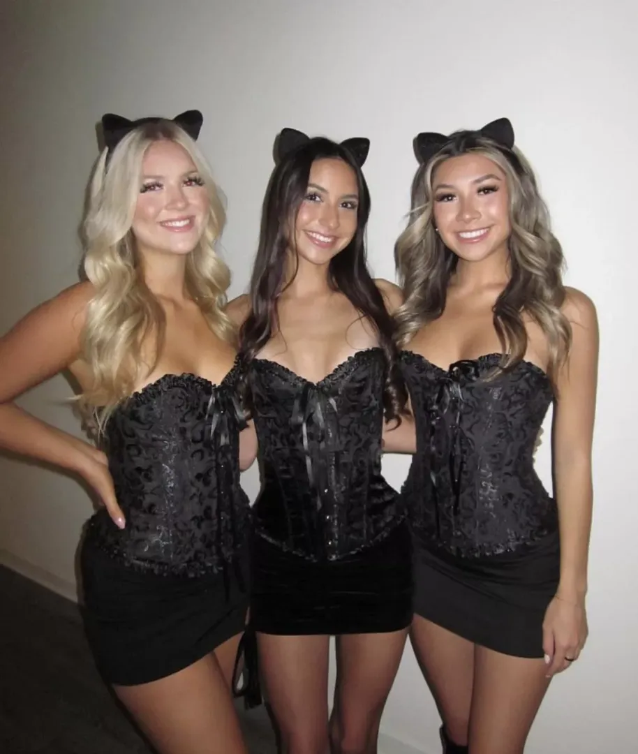 [3] 3 Cats