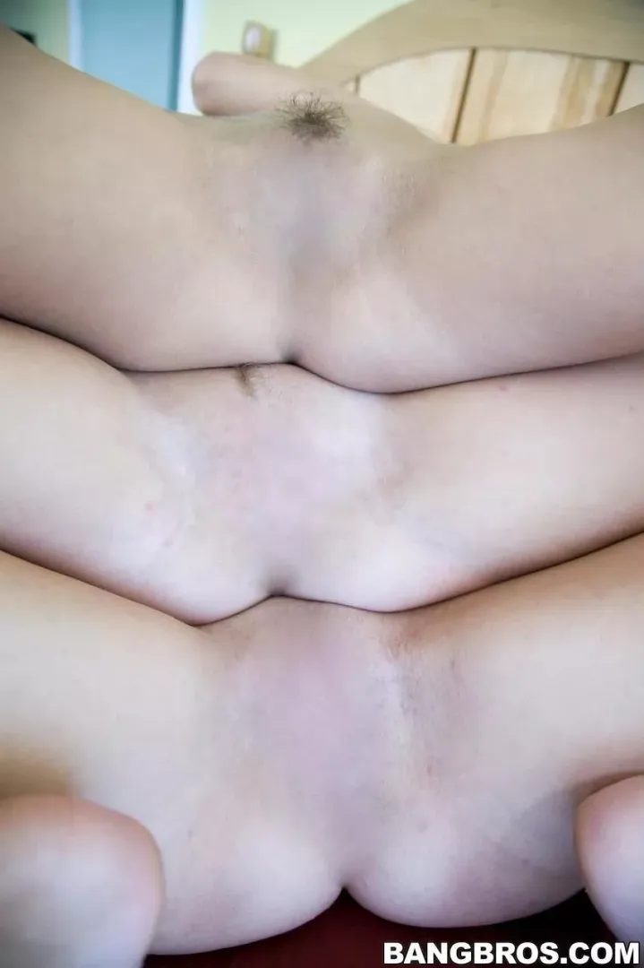 3 beautiful pussies