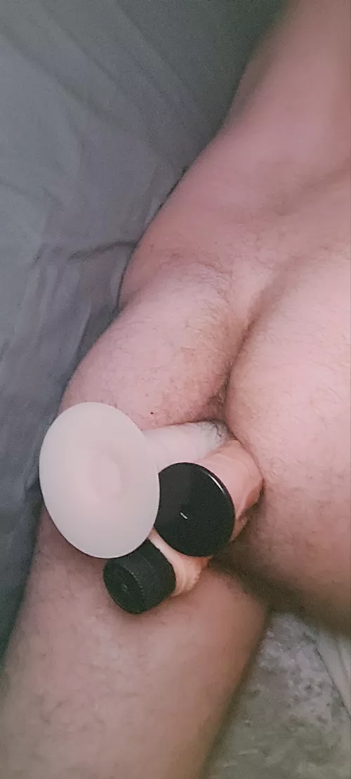 3 dildos in my arse