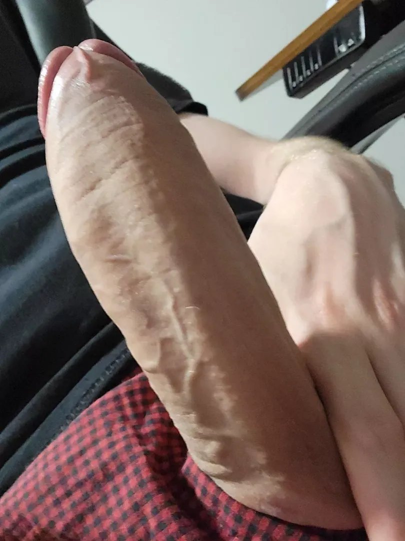(30) - go wild with me