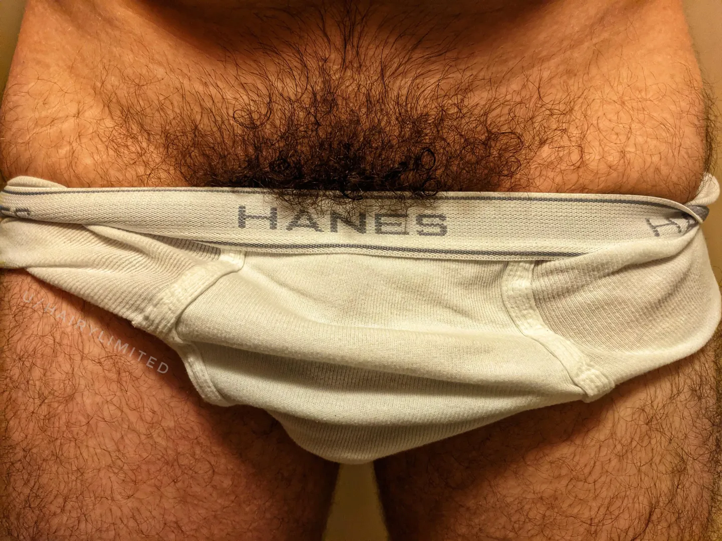 30 hairy fit dadbod otter. looking for hairy fit masc dudes. dm me here with pics if interested.