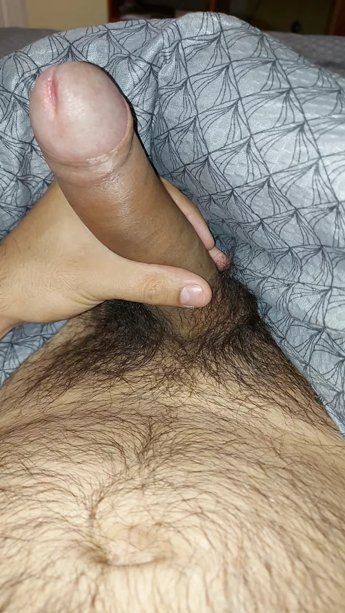30 hairy, horny for hairy, daddies add kr_enxd