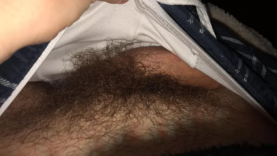 30 m looking for ONLY hairy - bushy dicks with face for fun on Snapchat : Marc.boy23