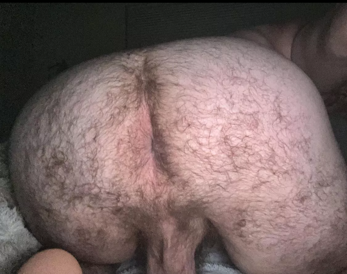 (31) beefy bttm