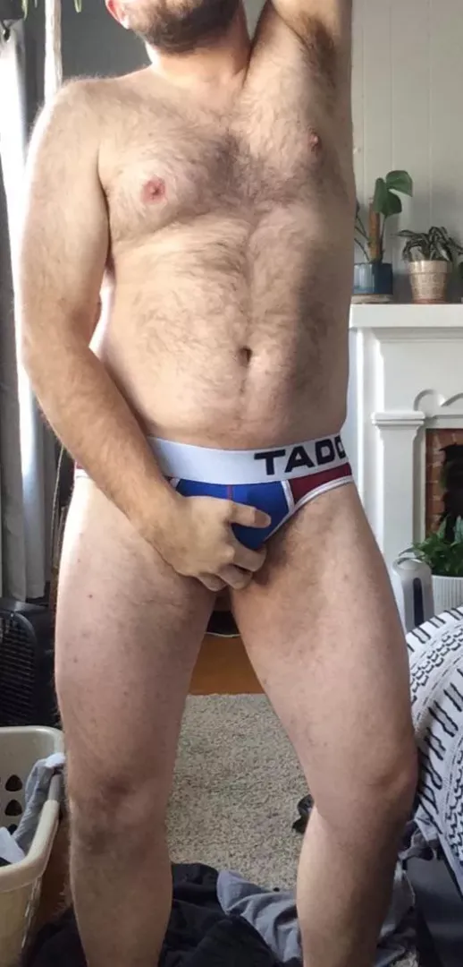 31 cub