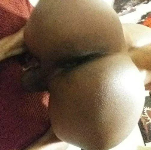 31 M. Any bbc wants to breed. Snap EclaiirFox