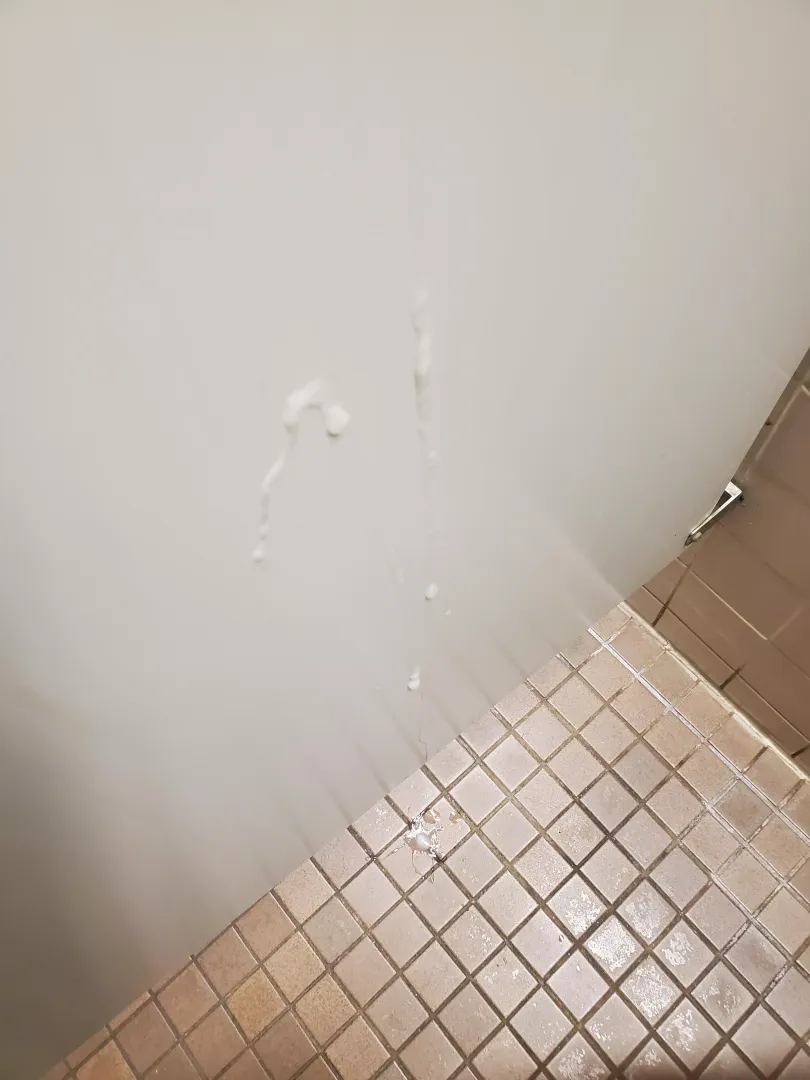 [31] My first tag