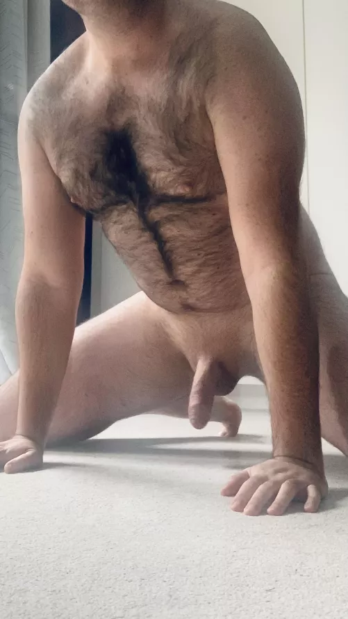 [31] this pup needs his bone to be caged and hole plugged with a tail