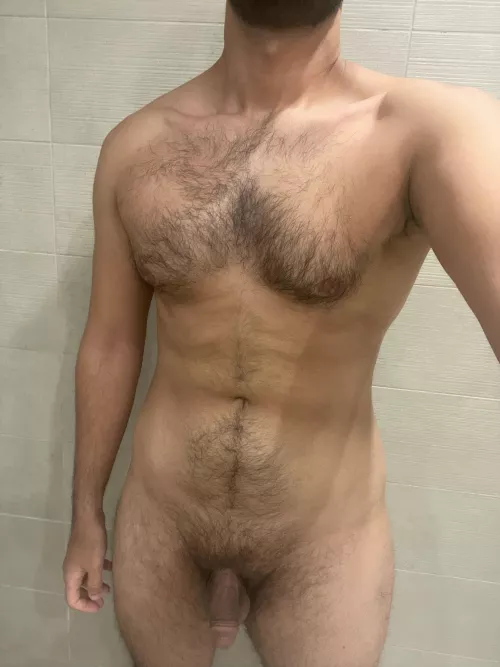 (33) Arabian softy