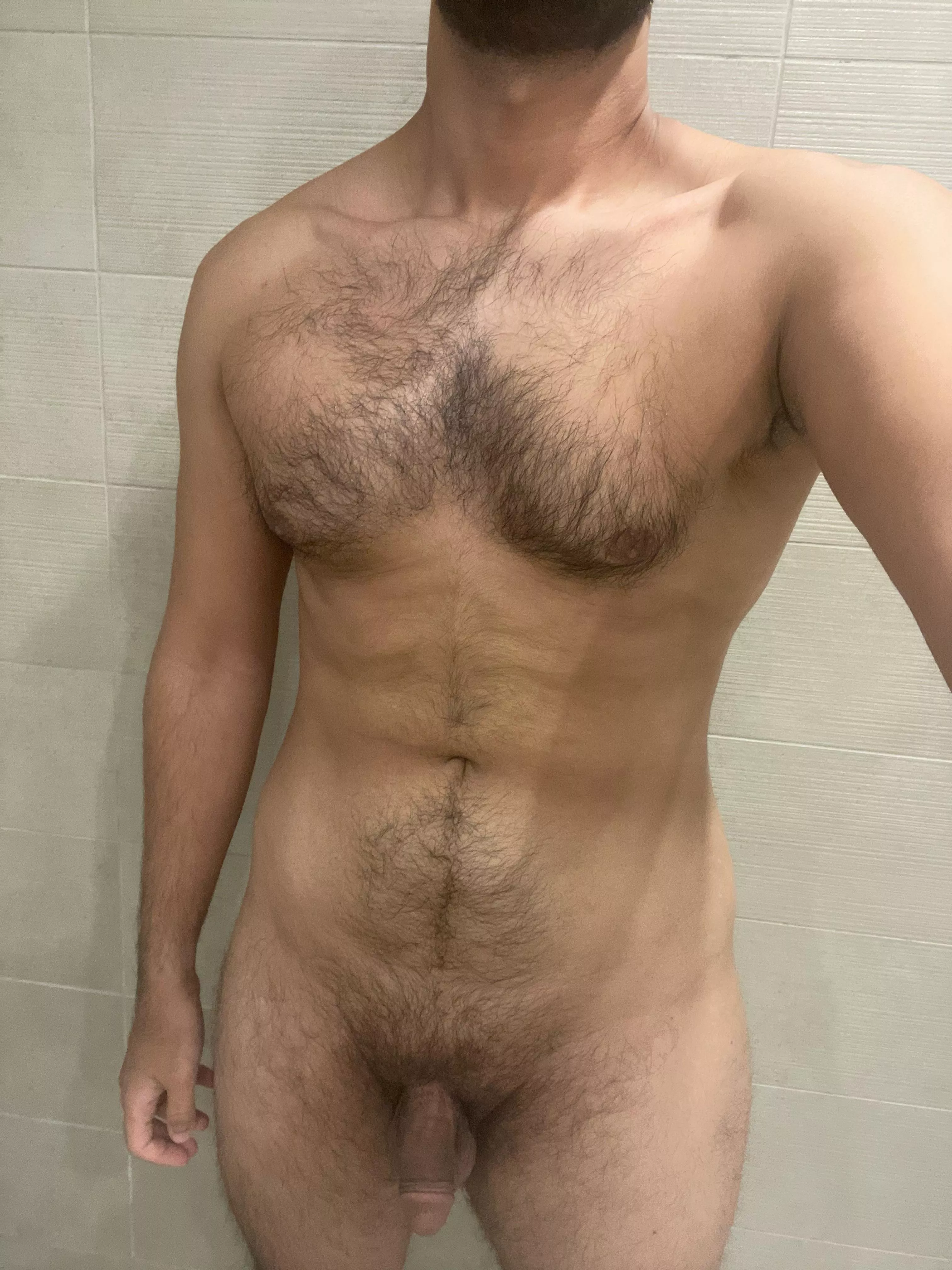 (33) Arabian softy