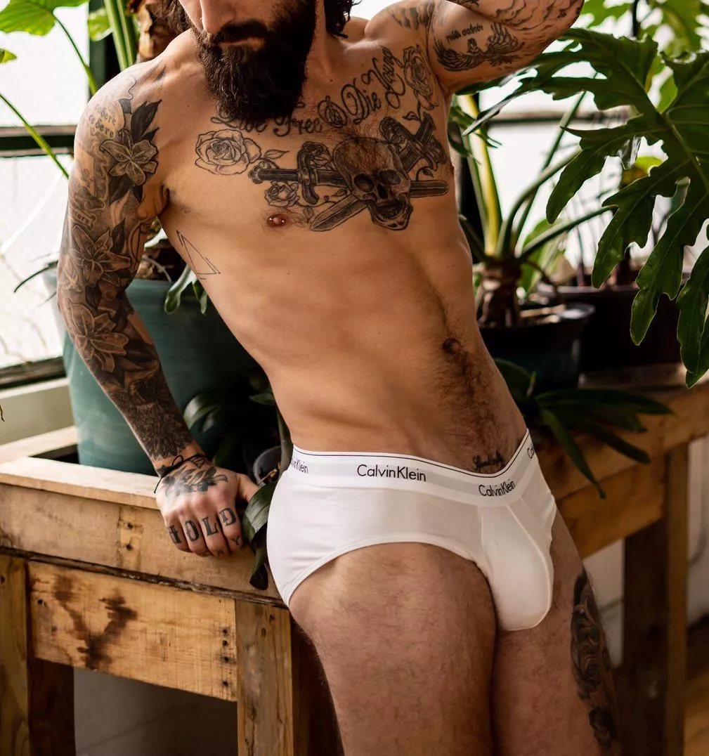 (33) plant daddy
