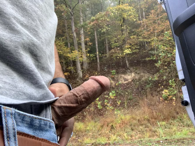 (35) Let’s go hunting together