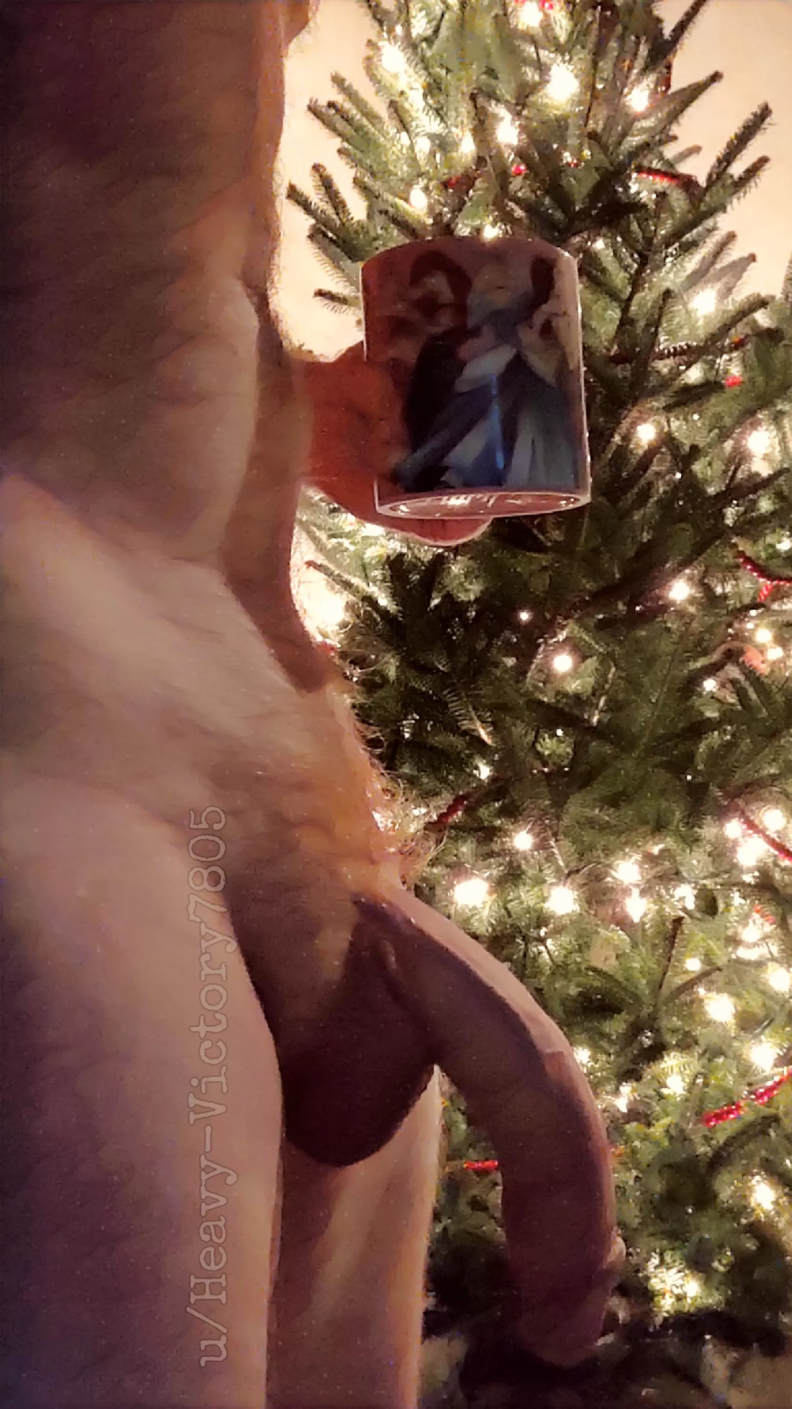 (36M) Barely even 24hrs after Thanksgiving and the Christmas decor is up it's been a whirlwind of a day. Time to settle in with some decaf and whiskey.