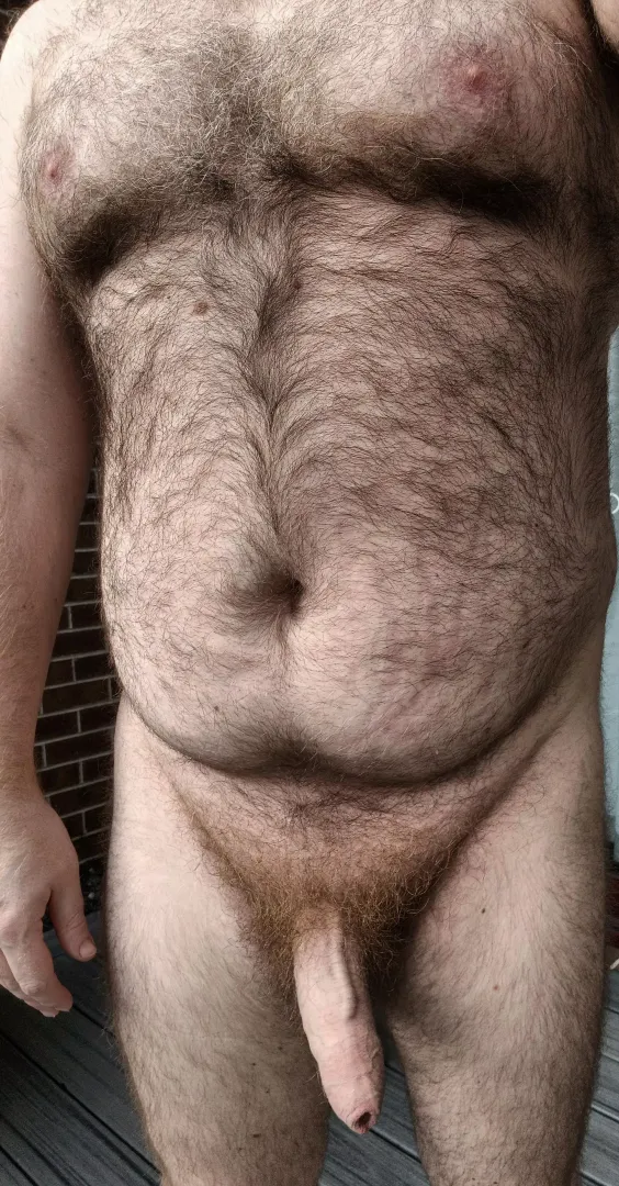 (38) Thick Aussie ready to play 