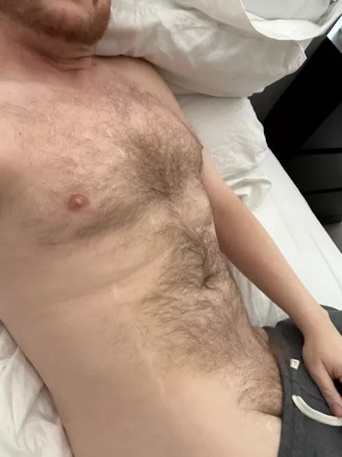 [39] Furry buddy