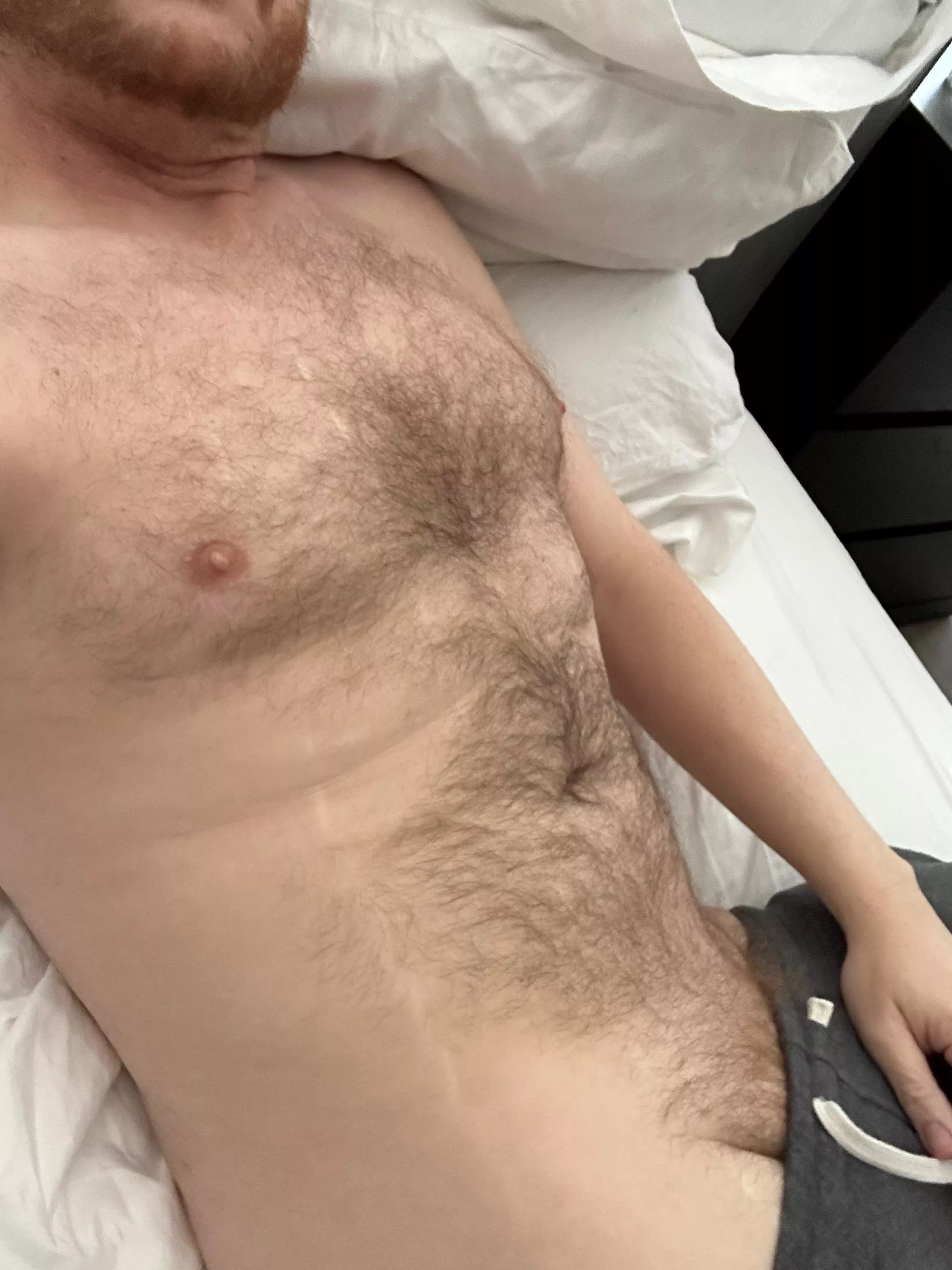 [39] Furry buddy