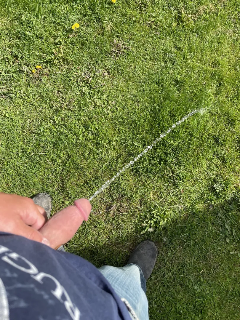 [39] gotta keep the grass watered
