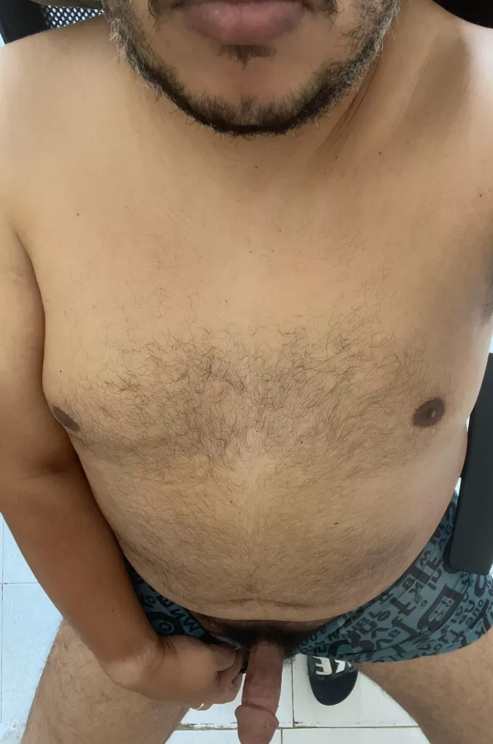 (39) Moroccan bear
