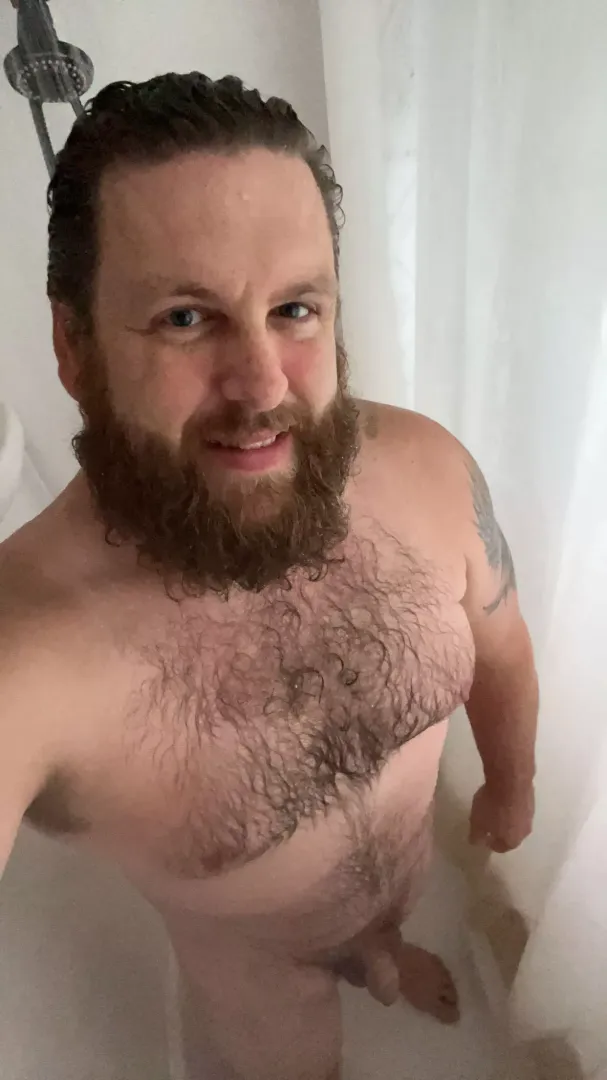 (40)bimale