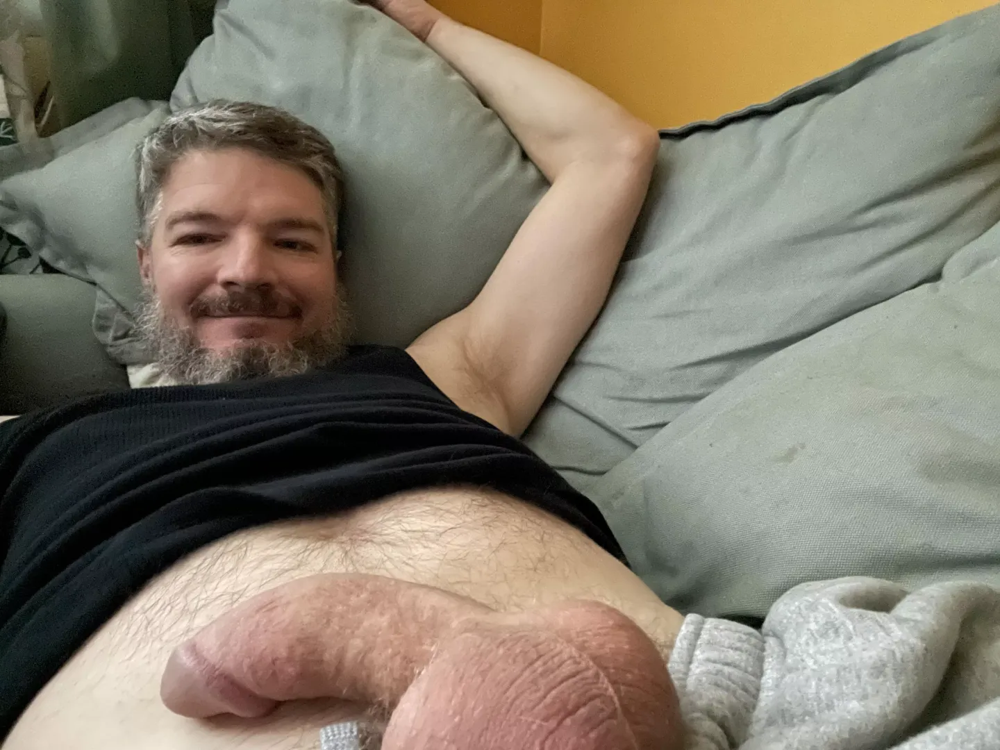 (41) Silverfox