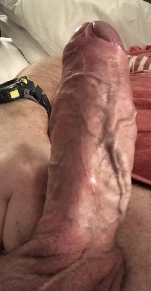 [42] Dad looking for someone to feel the veins