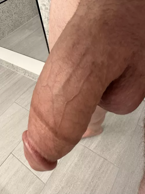 [43] Get on your knees and make daddy hard