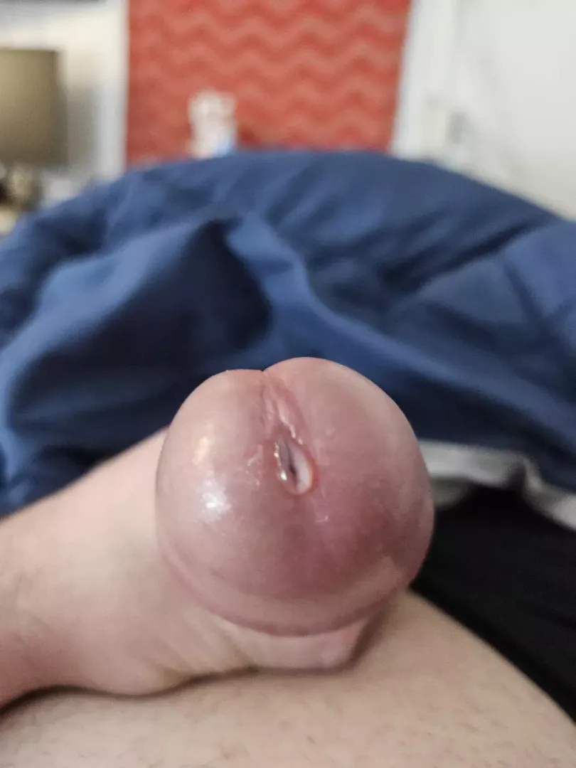 [46]