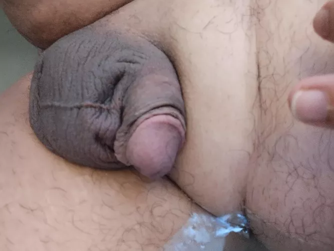 49 bi verse chub