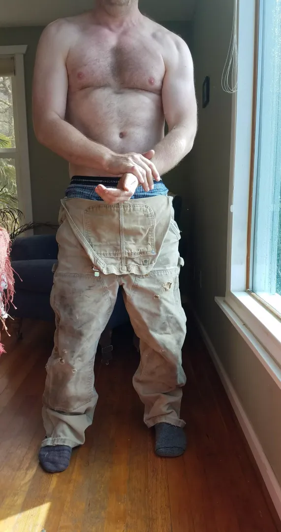 [49]Daddy's home