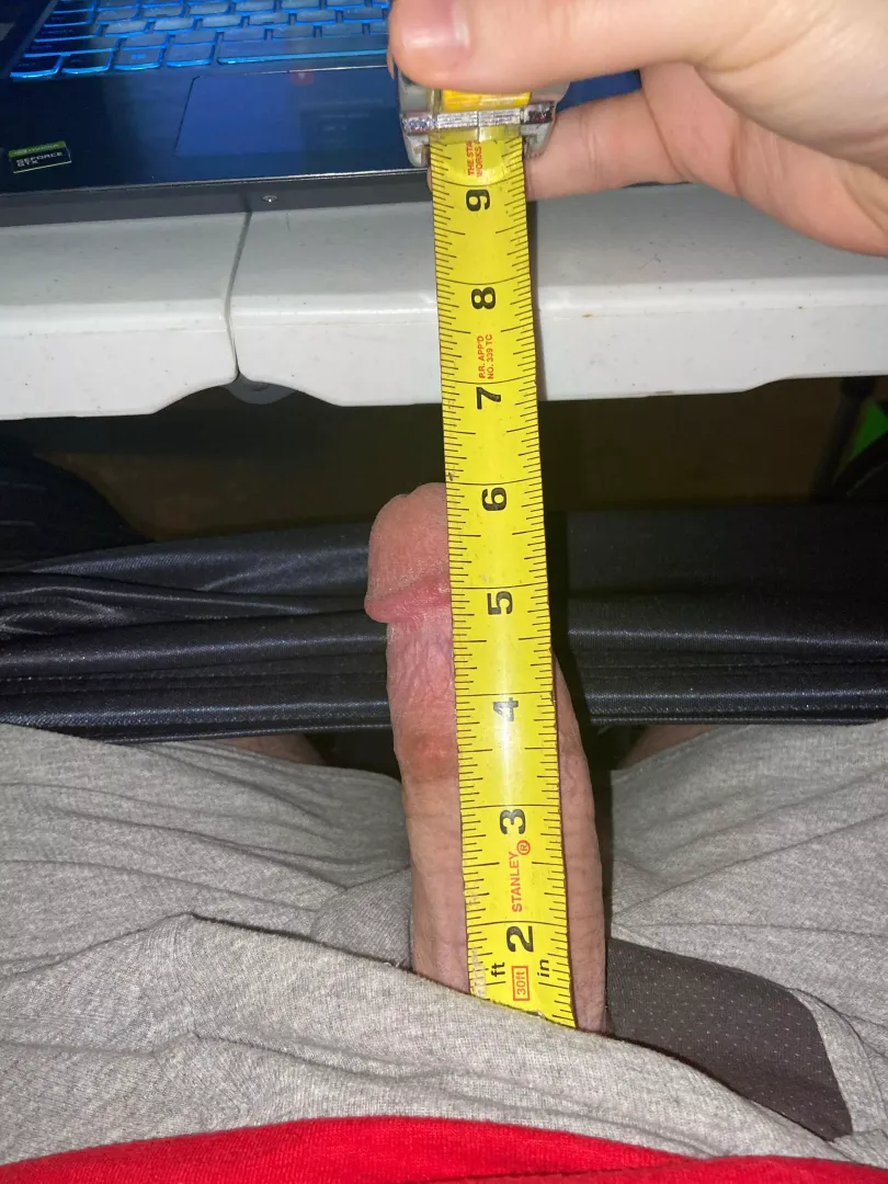 5 1/2 in girth too