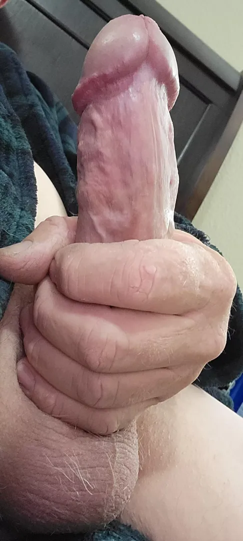 (50) daddy needs you to lick my dripping cock