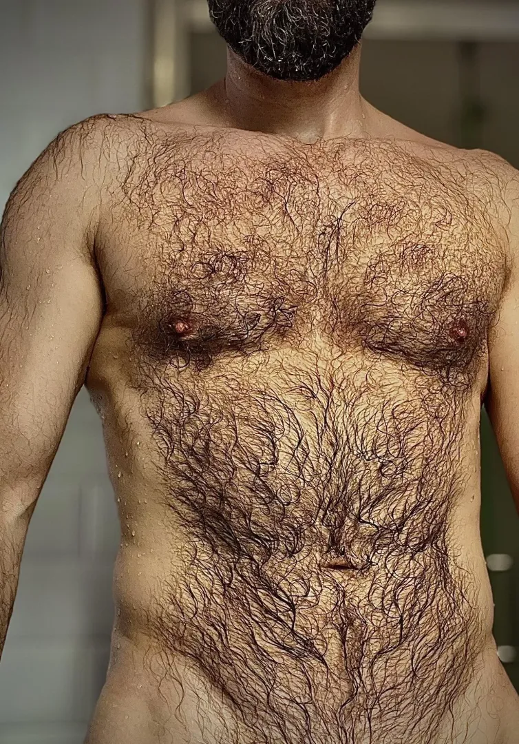 (50) fresh Dad chest for your pleasure…