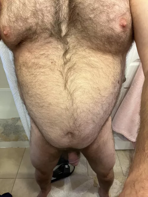 56 yo Bear 🐻 in CT
