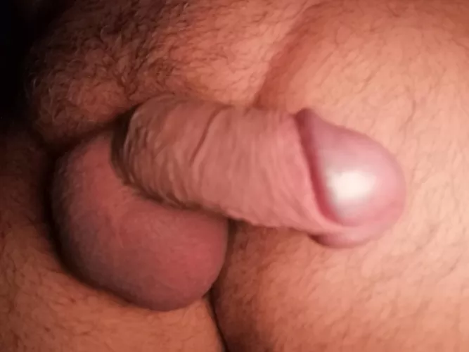 [58] grandpa and his cock